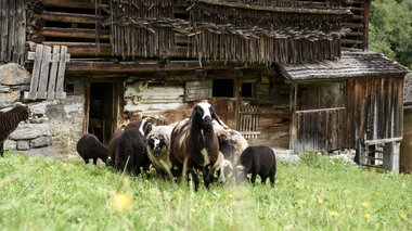 © Patrick Säly / Montafon